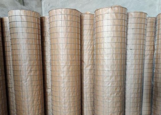 Hayvan Muhafazası için 6X6cm 304 Galvanizli Kaynaklı Hasır Çit