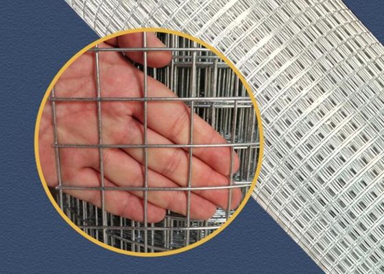 OEM Okul Bahçesi Kaynaklı Hasır Çit 5X5mm Sıcak Daldırma Galvanizleme